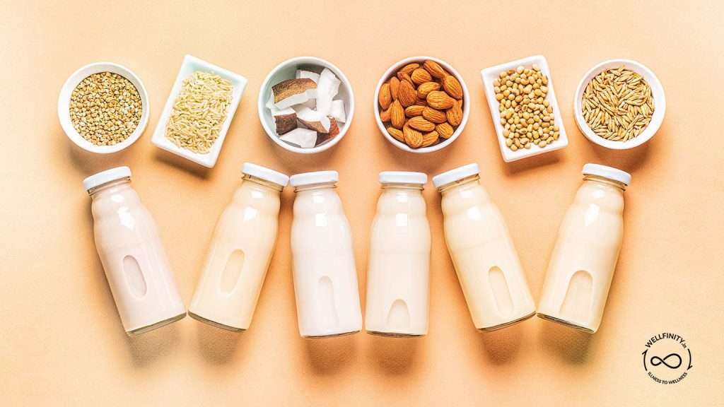 Different Types Of Plant-based or Vegan Milk - Wellfinity.in