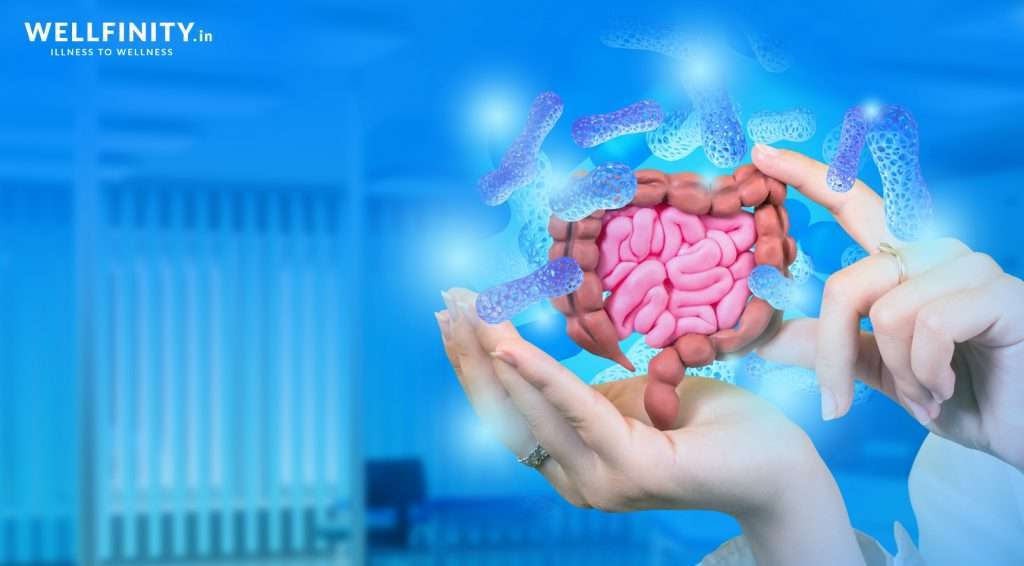 Gut Microbiome infographic